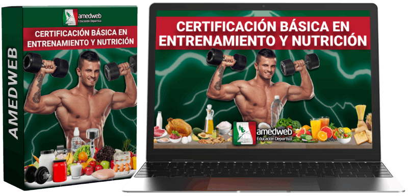 certificación básica en entrenamiento y nutrición