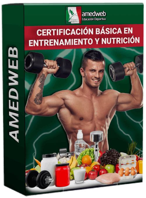 Certificación básica en entrenamiento y nutrición-AMEDWEB