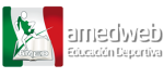 lOGO amed